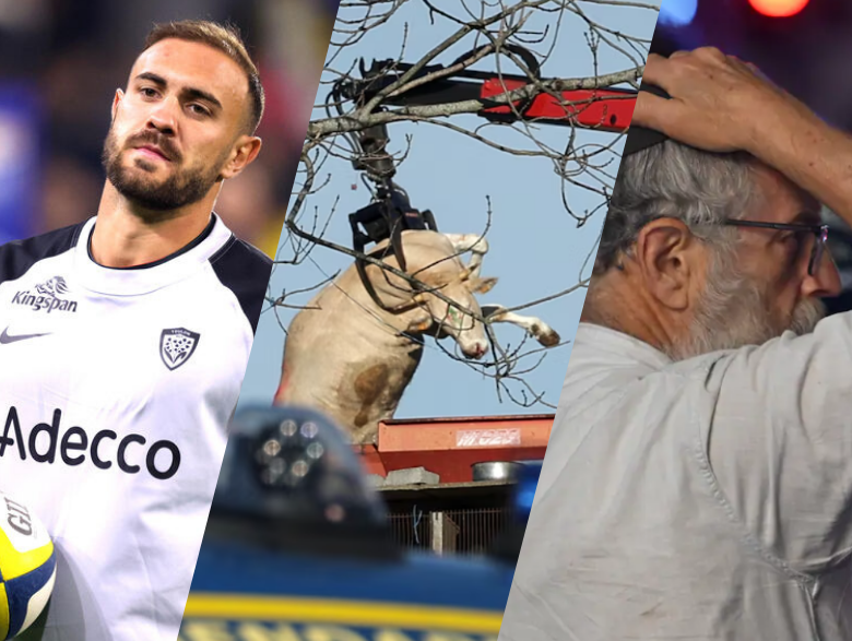 Revue de presse – Semaine du 8 décembre