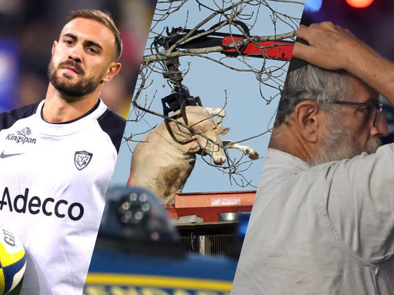 Revue de presse – Semaine du 8 décembre